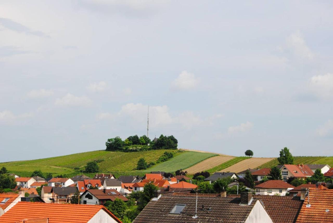 Kirchbergblick *